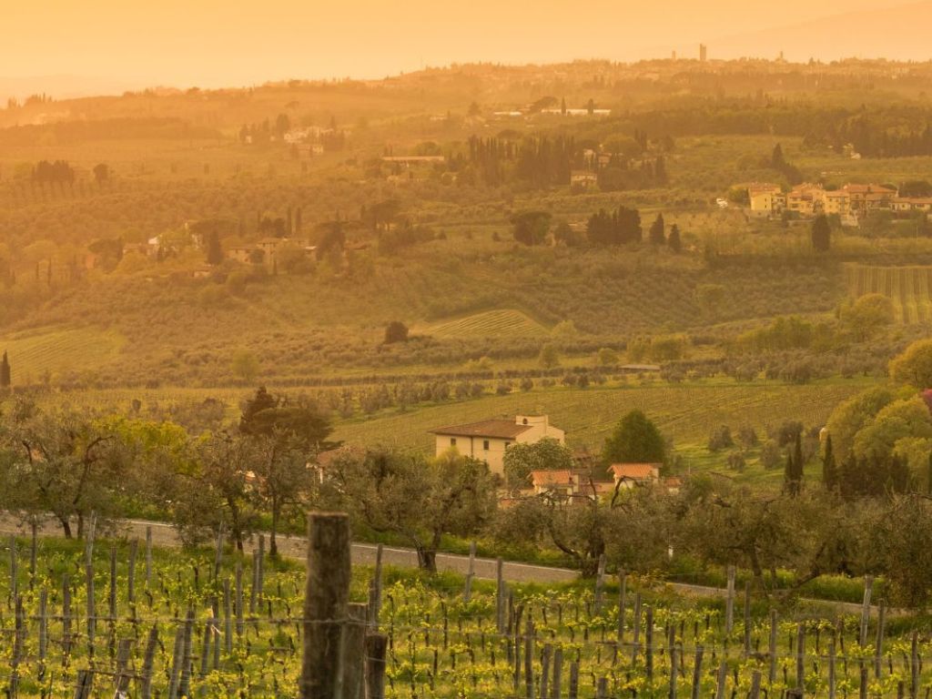 Chianti Classico Winery Tour