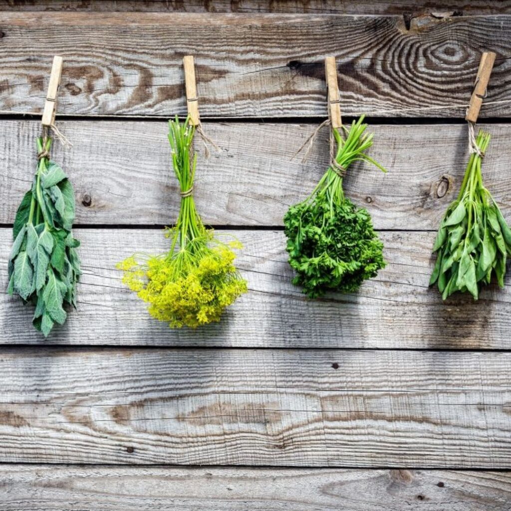 How to detect wine aromas