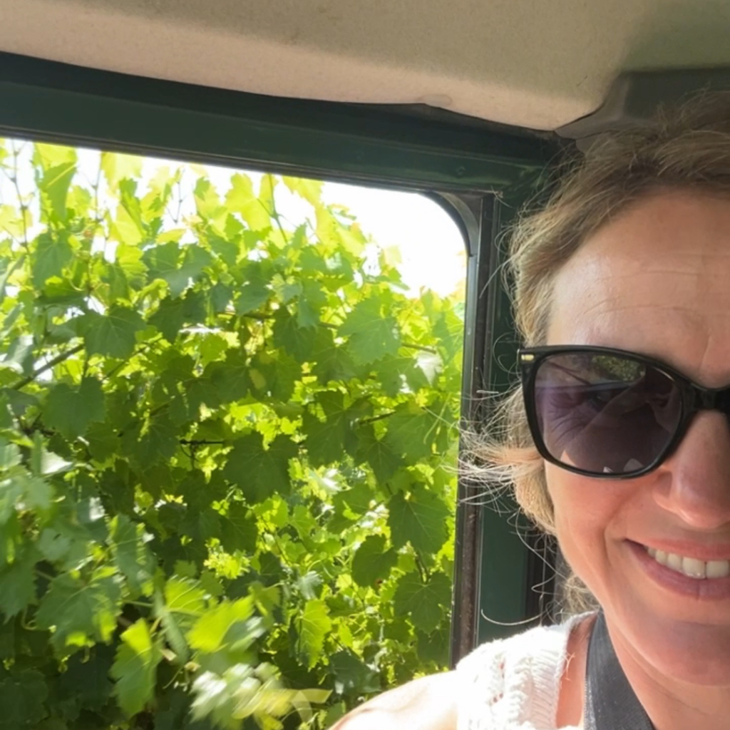 Vernaccia di San Gimignano Colombaio di Santachiara