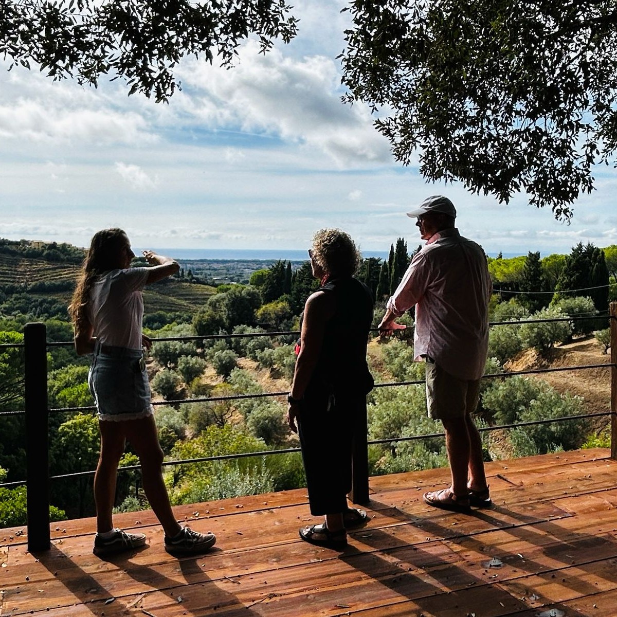 Claudia and two guests looking out over olive groves and vineyards toward the sea from a wooden terrace
